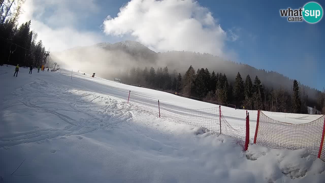 RTC Kranjska Gora | Brsnina