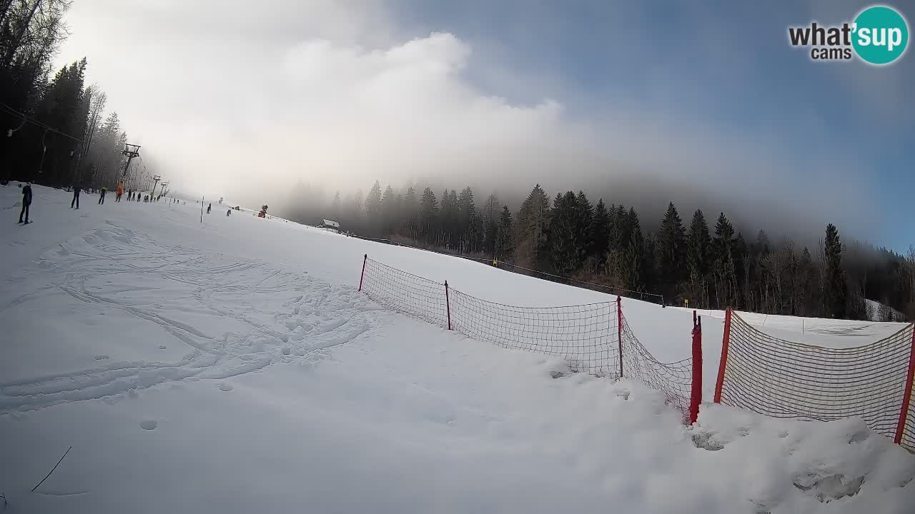 Comprensorio sciistico Kranjska Gora | Brsnina