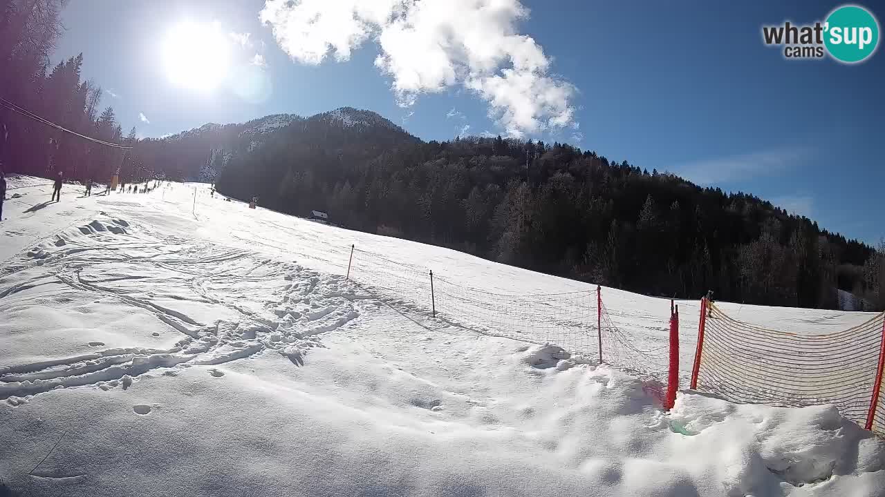 RTC Kranjska Gora | Brsnina