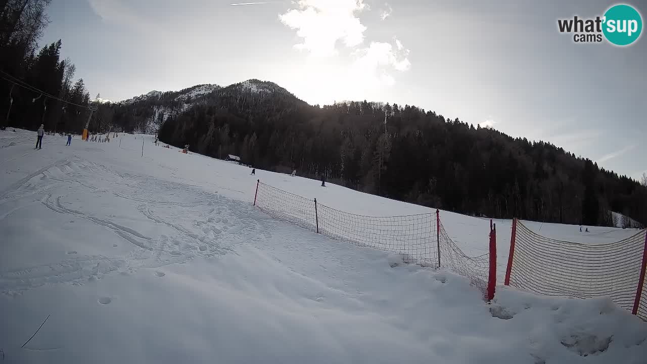 Esquí Kranjska Gora | Brsnina
