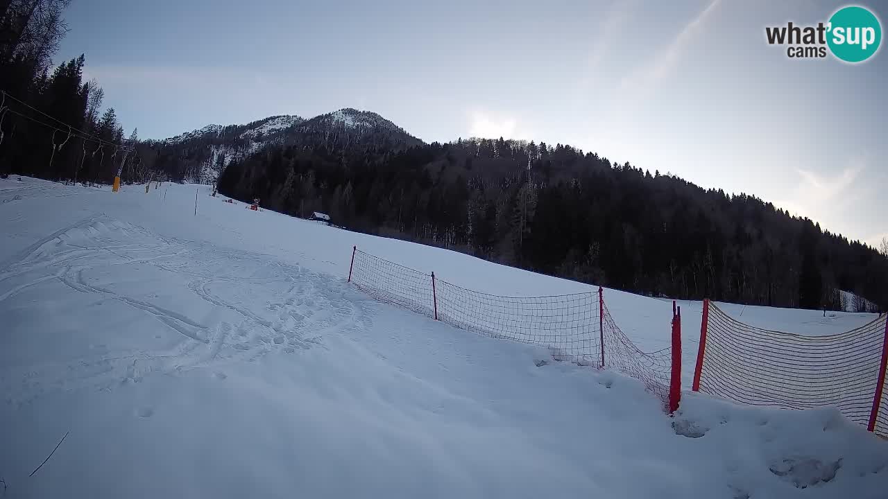 Esquí Kranjska Gora | Brsnina