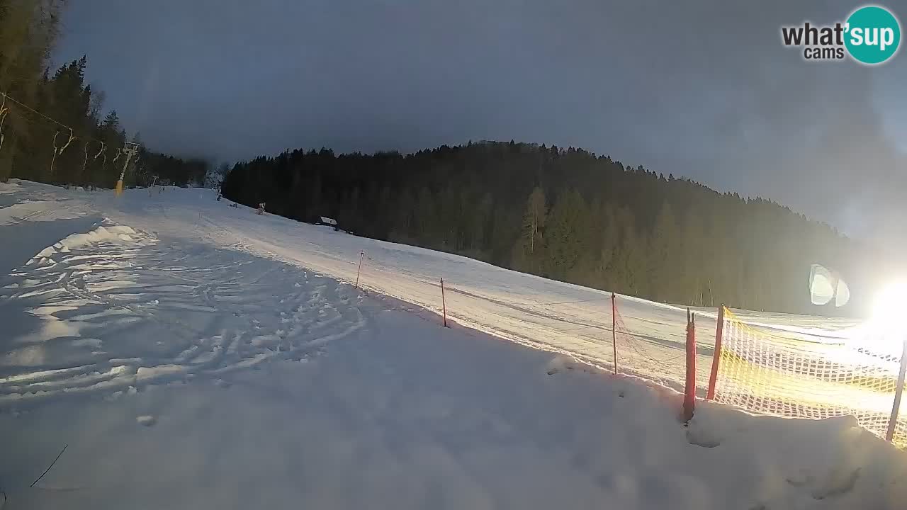 Comprensorio sciistico Kranjska Gora | Brsnina