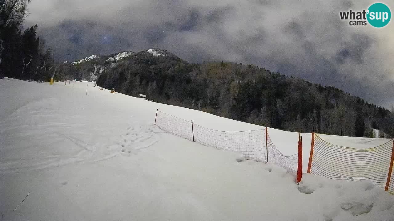 Esquí Kranjska Gora | Brsnina