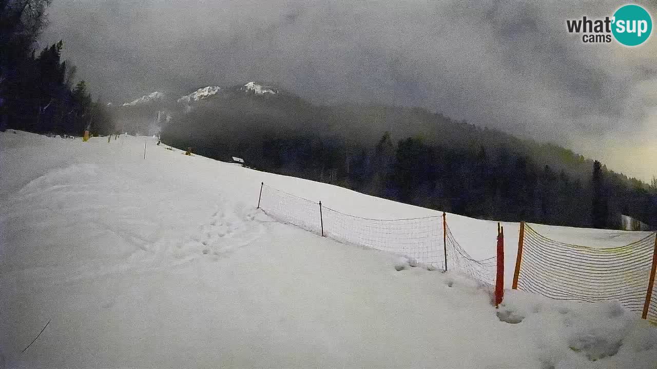 RTC Skigebiet Kranjska Gora | Brsnina