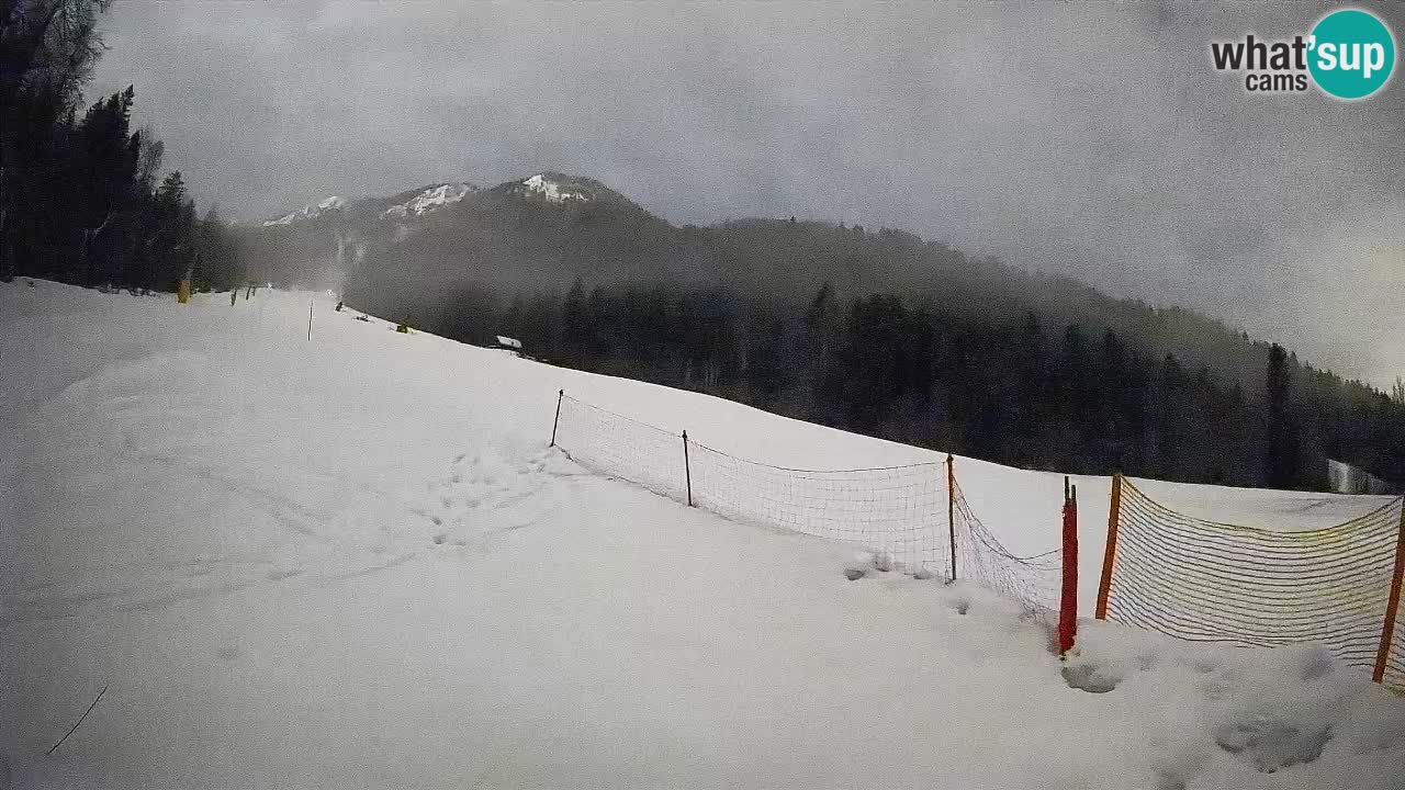 Esquí Kranjska Gora | Brsnina