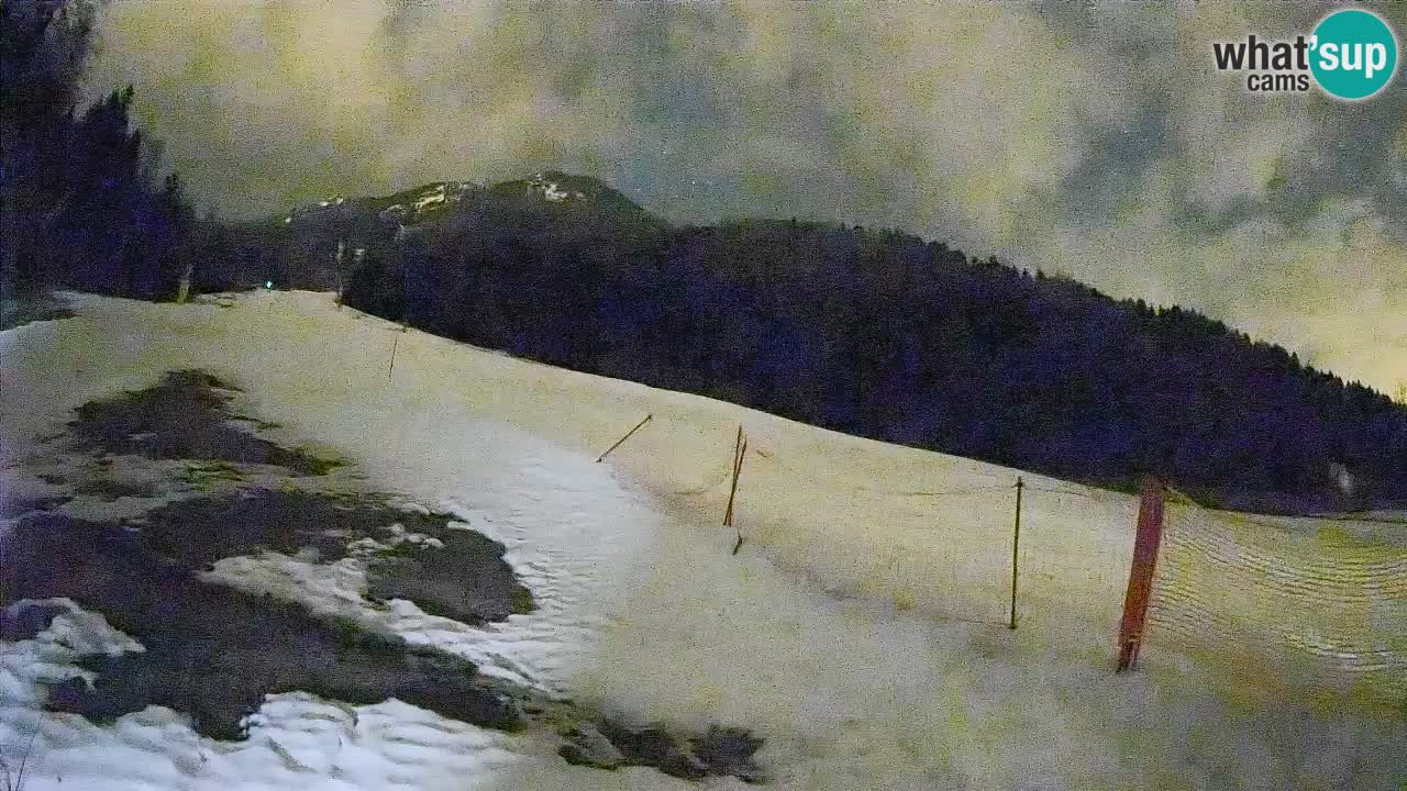 Ski Kranjska Gora | Brsnina