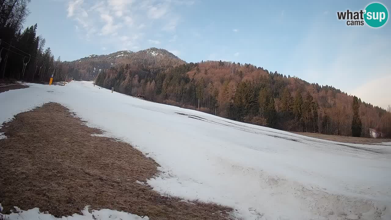 RTC Kranjska Gora | Brsnina