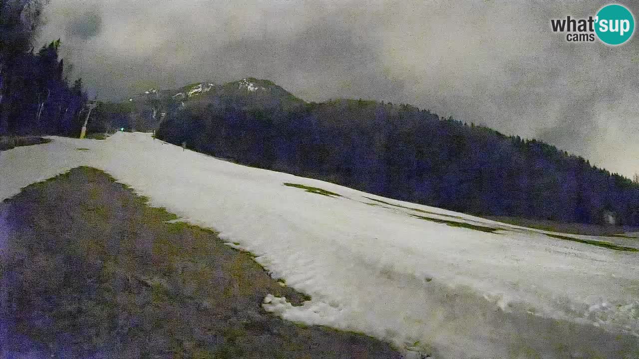 Kranjska Gora Station de ski | Brsnina