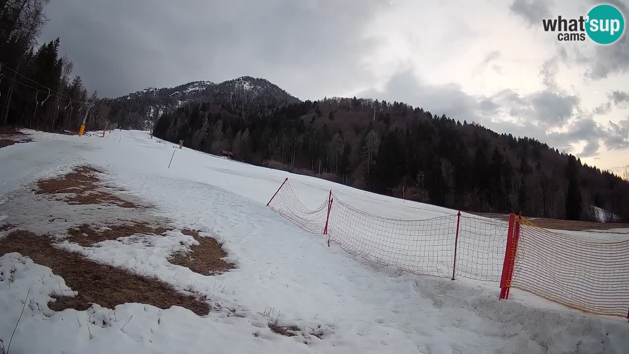 Ski Kranjska Gora | Brsnina