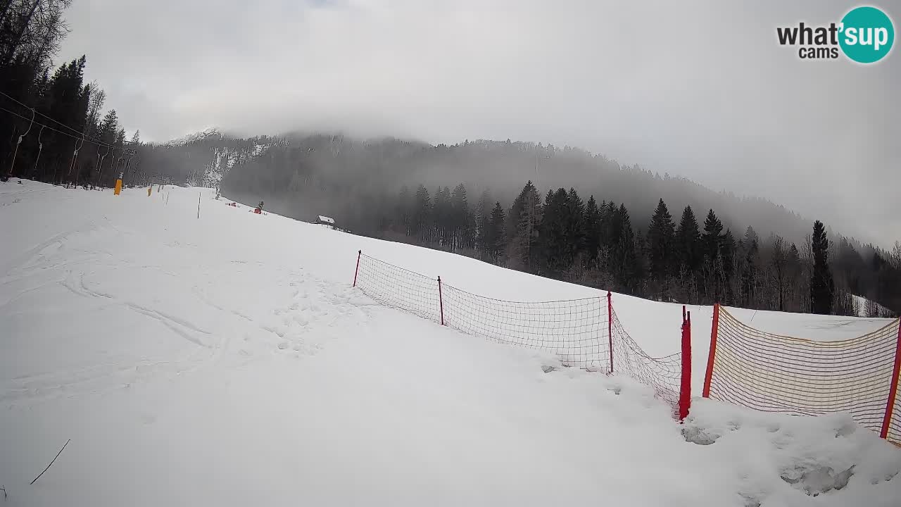 Kranjska Gora Station de ski | Brsnina
