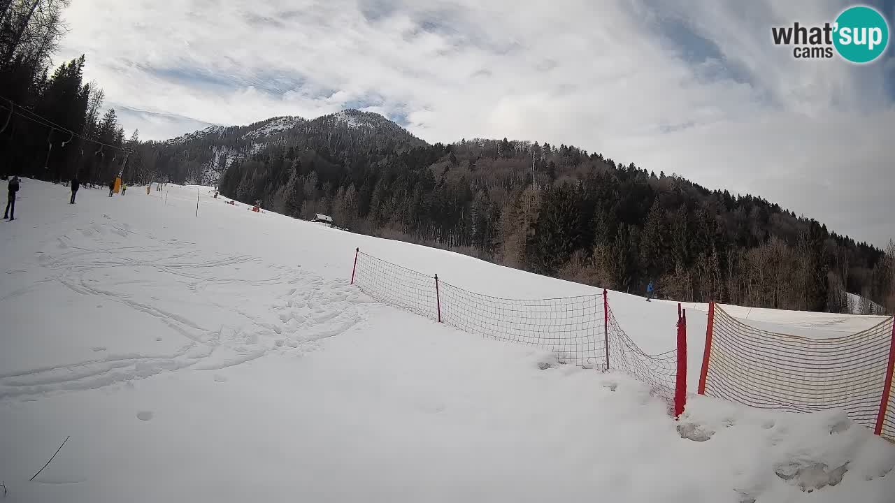 Kranjska Gora SKIJANJE | Brsnina