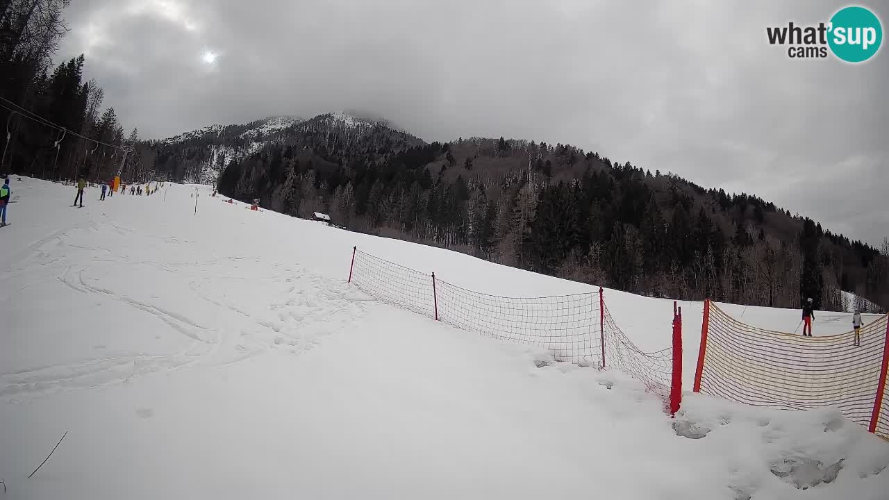Kranjska Gora SKIJANJE | Brsnina