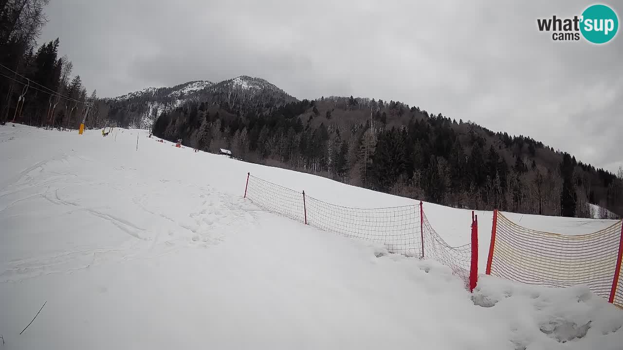 Esquí Kranjska Gora | Brsnina