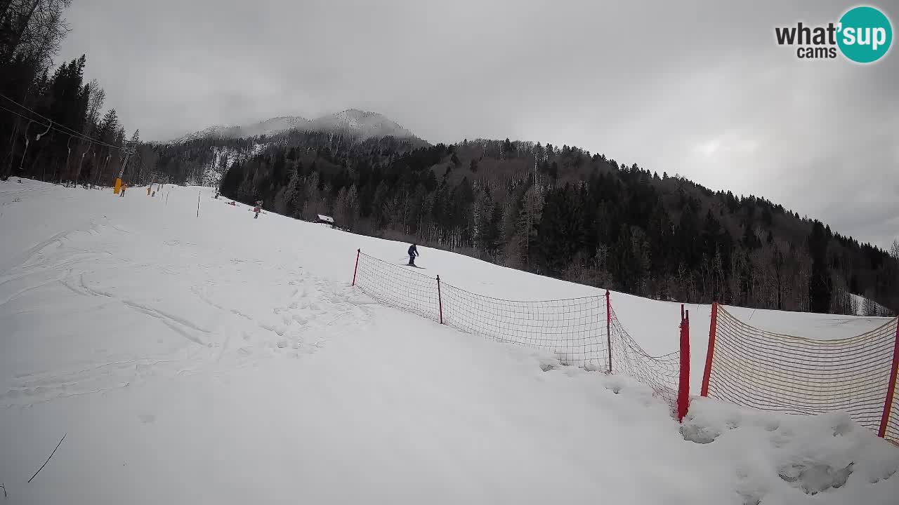 Esquí Kranjska Gora | Brsnina