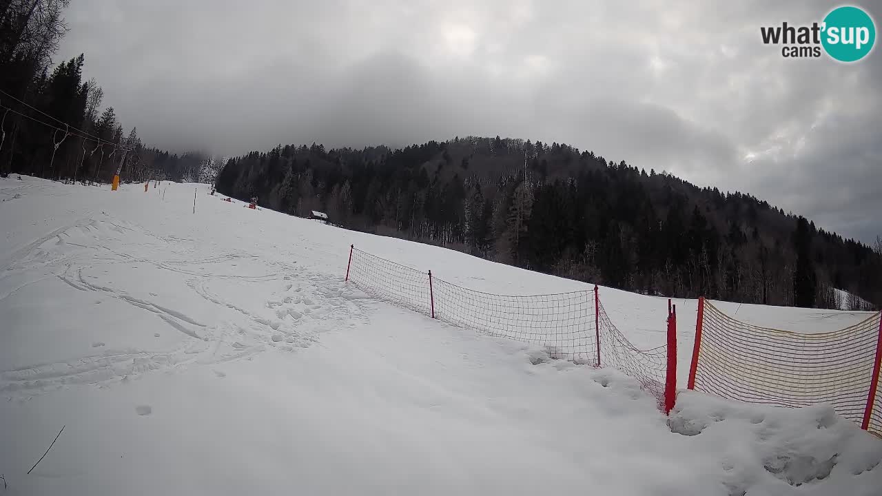 Kranjska Gora SKIJANJE | Brsnina
