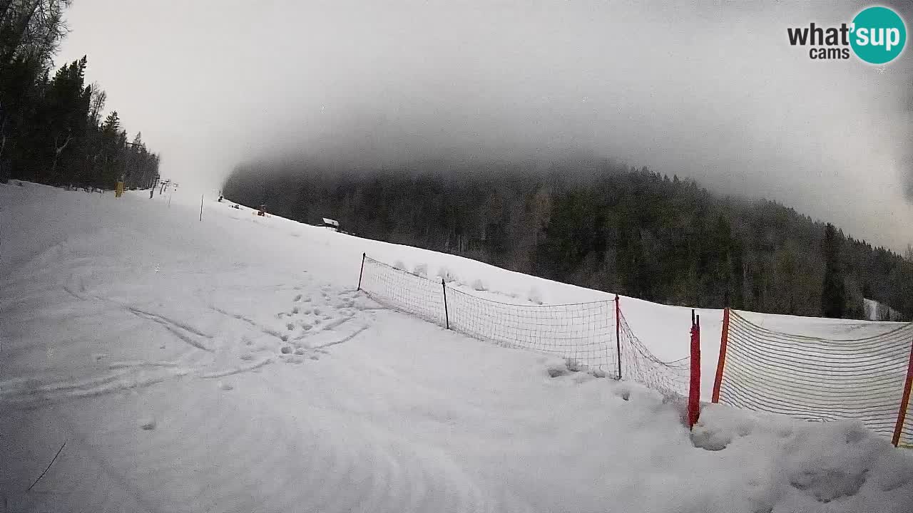 Comprensorio sciistico Kranjska Gora | Brsnina