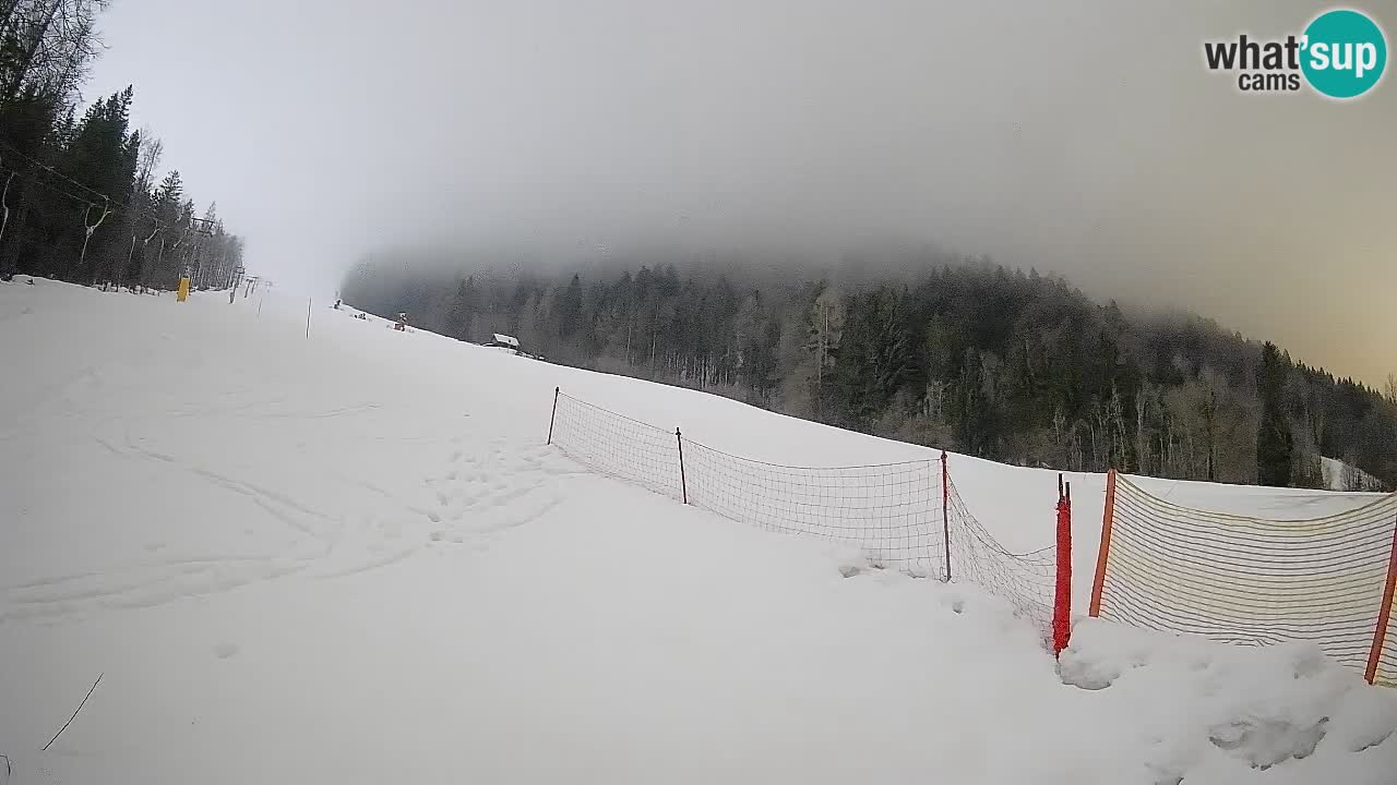 RTC Kranjska Gora | Brsnina