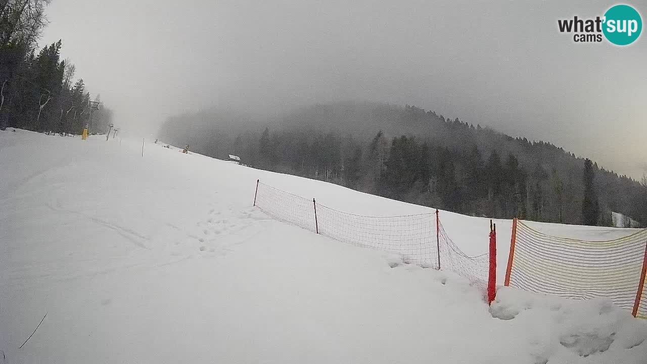 Kranjska Gora SKIJANJE | Brsnina