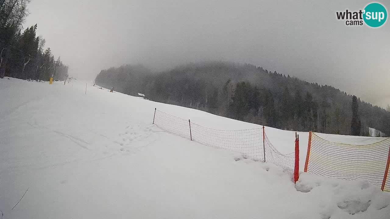 Kranjska Gora Station de ski | Brsnina