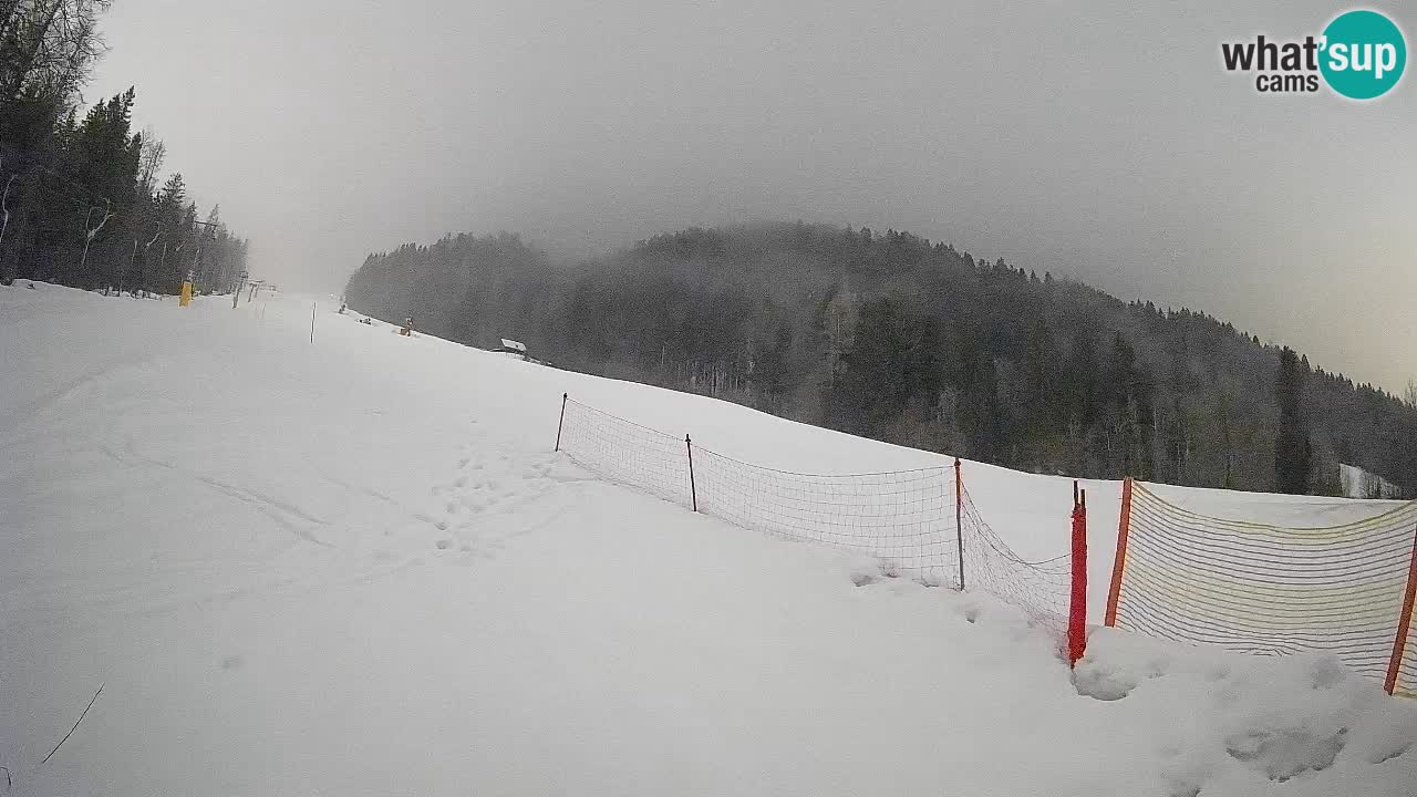 Kranjska Gora SKIJANJE | Brsnina