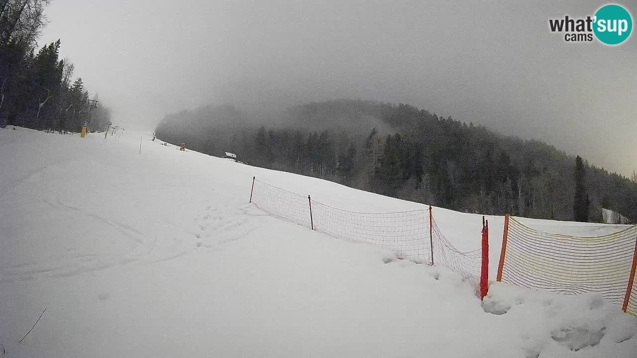 Kranjska Gora SKIJANJE | Brsnina
