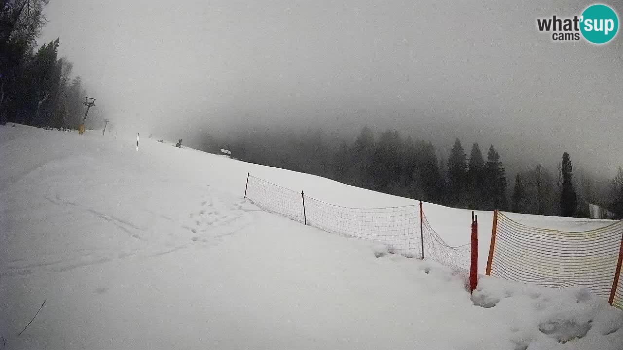 Kranjska Gora SKIJANJE | Brsnina