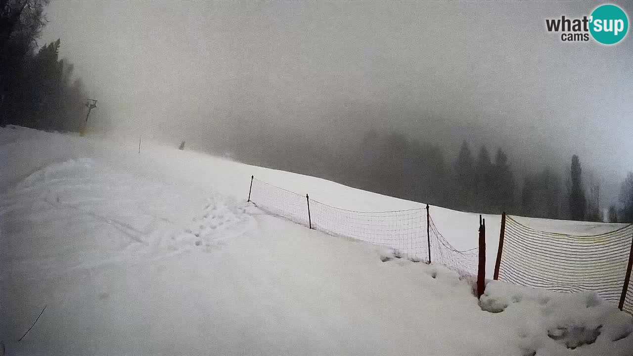 Ski Kranjska Gora | Brsnina