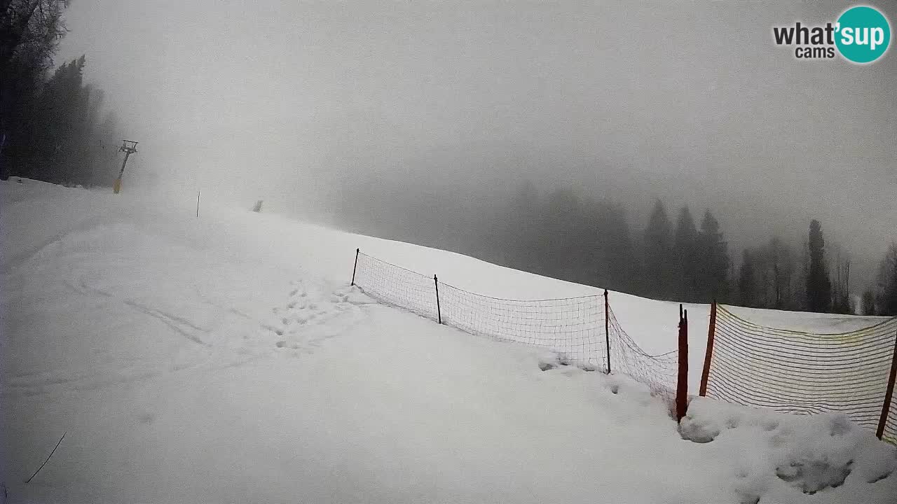 Kranjska Gora SKIJANJE | Brsnina