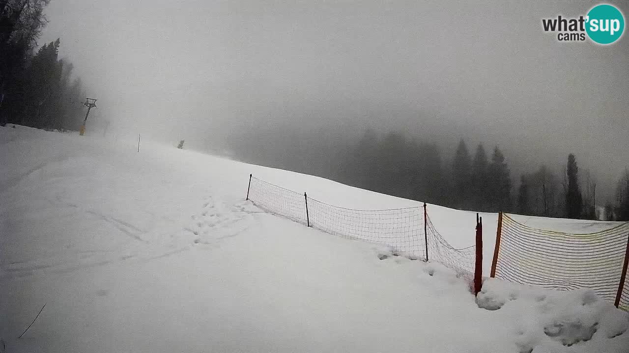 Kranjska Gora Station de ski | Brsnina