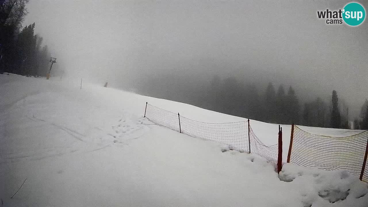 RTC Skigebiet Kranjska Gora | Brsnina