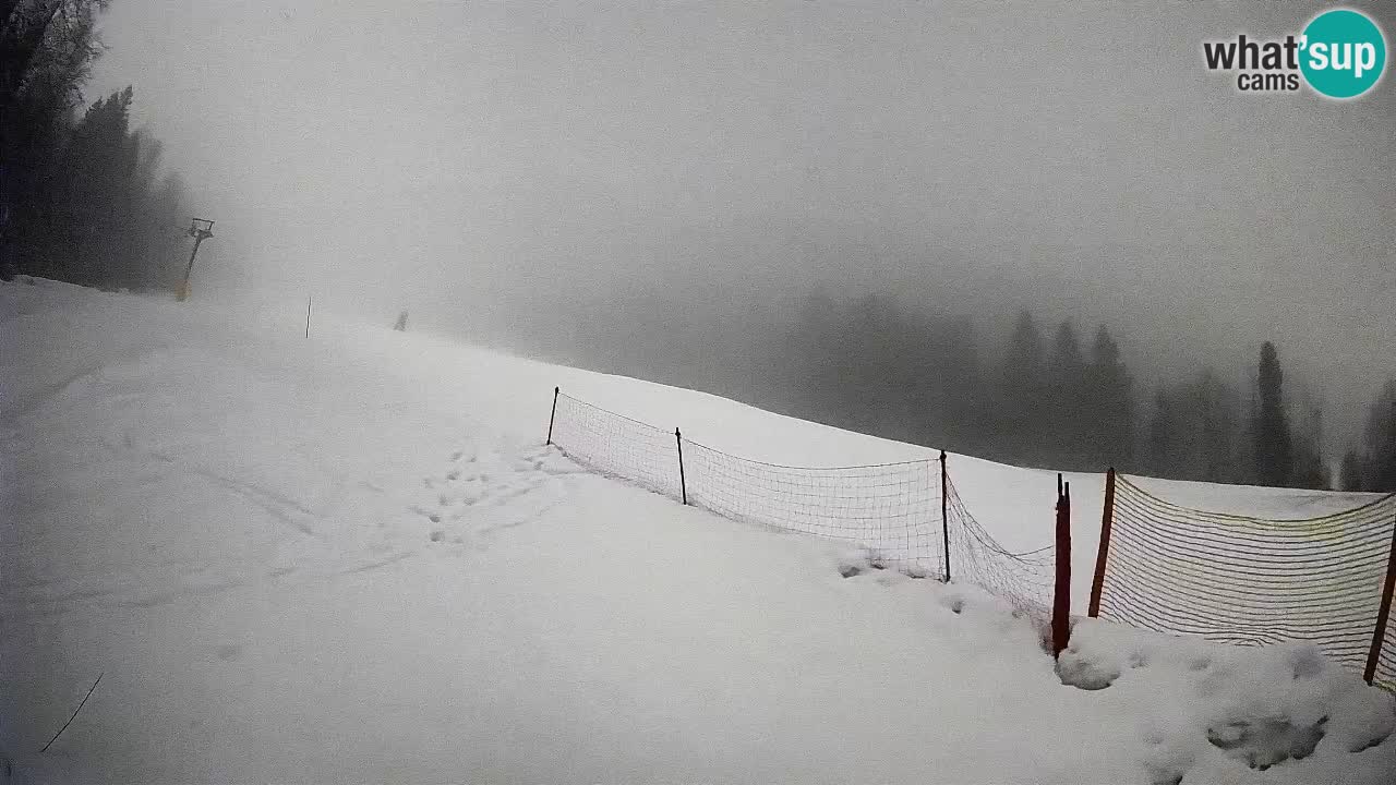 RTC Kranjska Gora | Brsnina