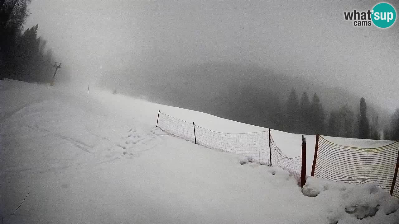 Kranjska Gora Station de ski | Brsnina