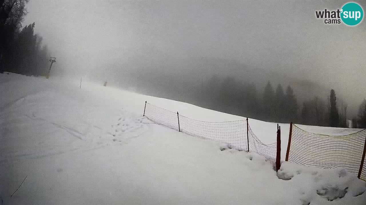 Kranjska Gora SKIJANJE | Brsnina