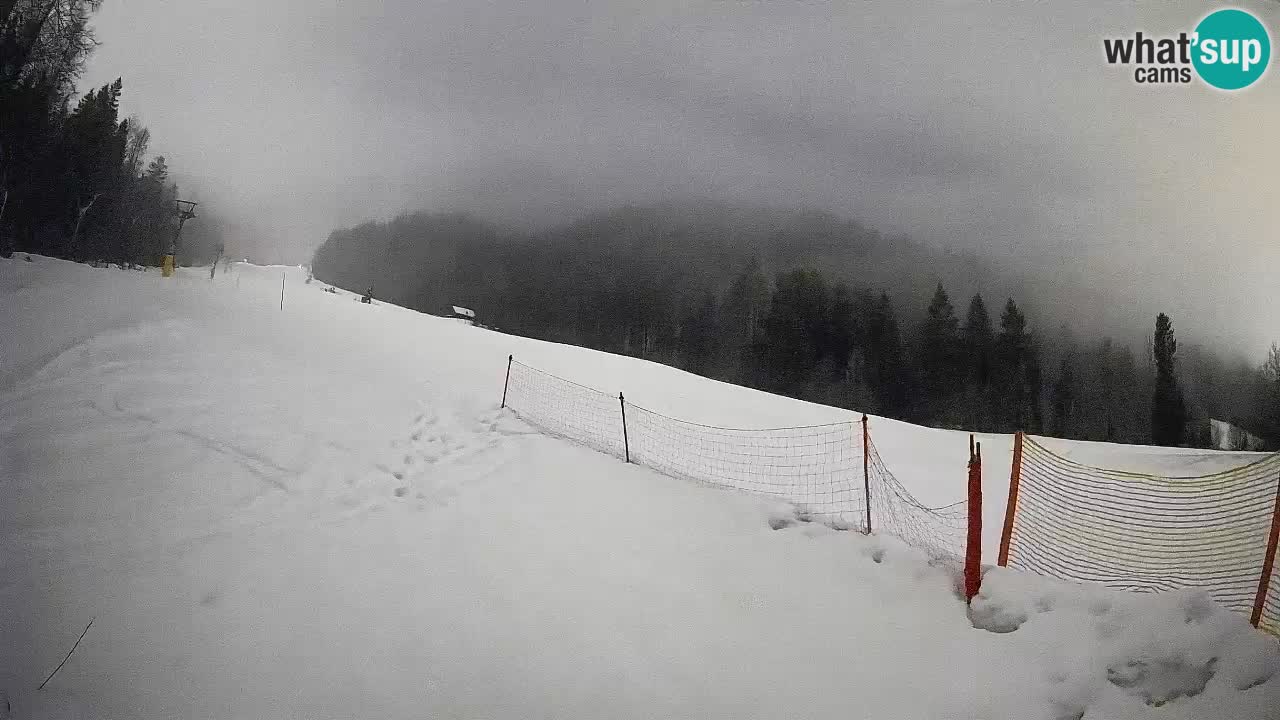 RTC Skigebiet Kranjska Gora | Brsnina