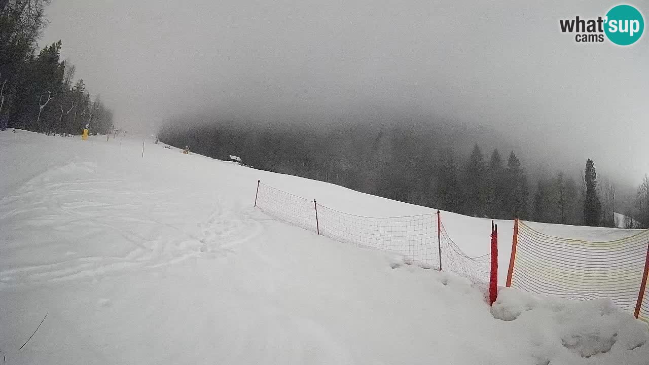 Ski Kranjska Gora | Brsnina