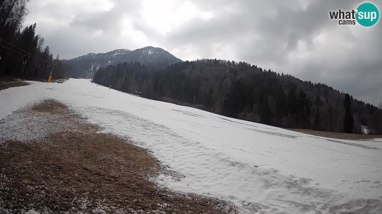 Esquí Kranjska Gora | Brsnina