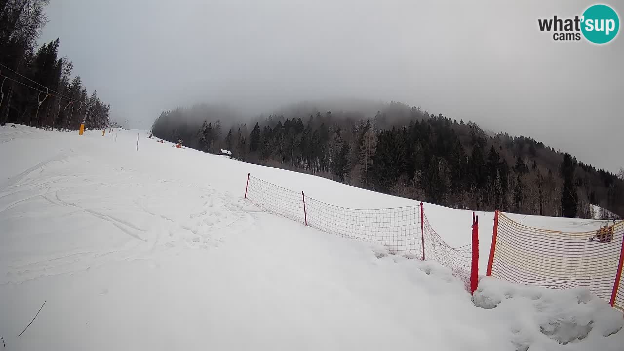 Ski Kranjska Gora | Brsnina
