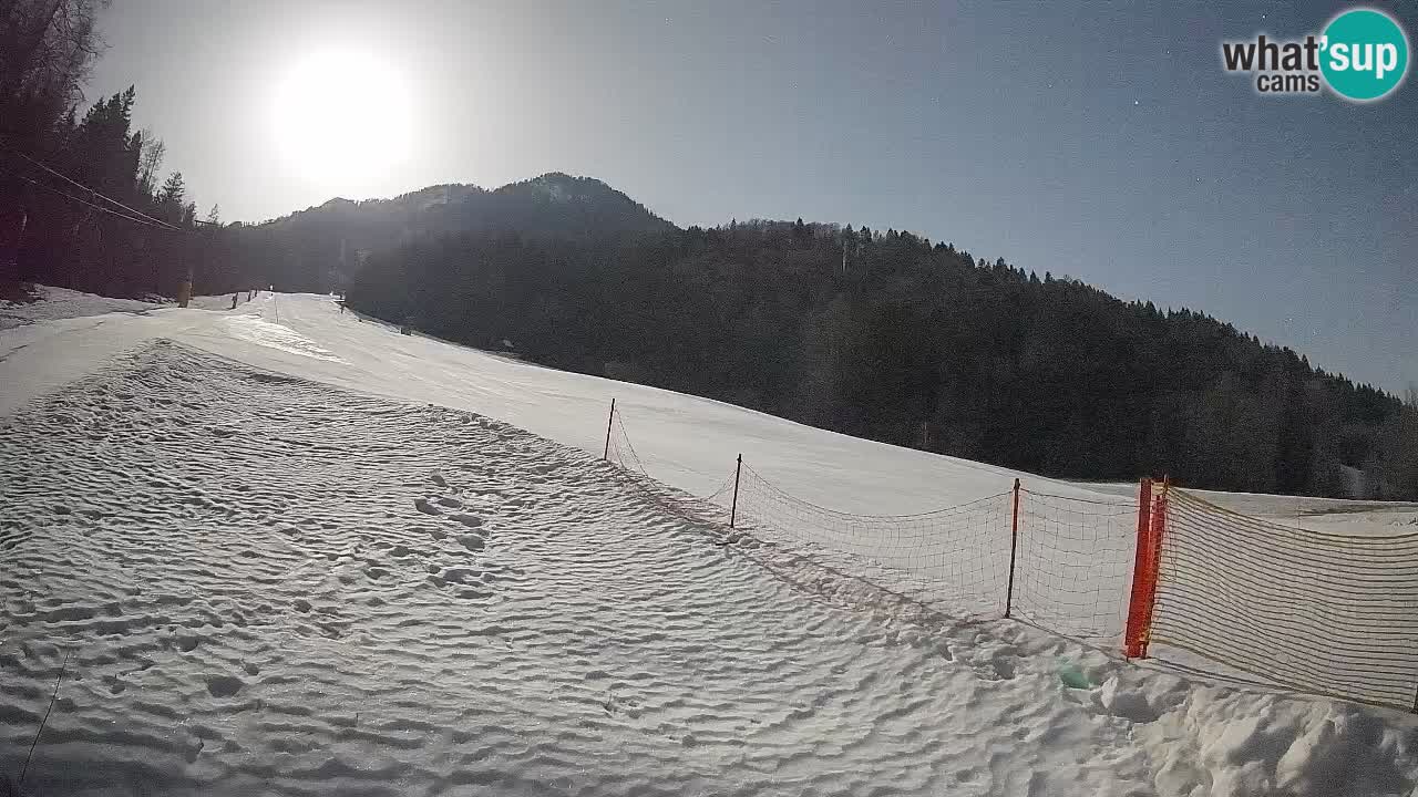 Esquí Kranjska Gora | Brsnina
