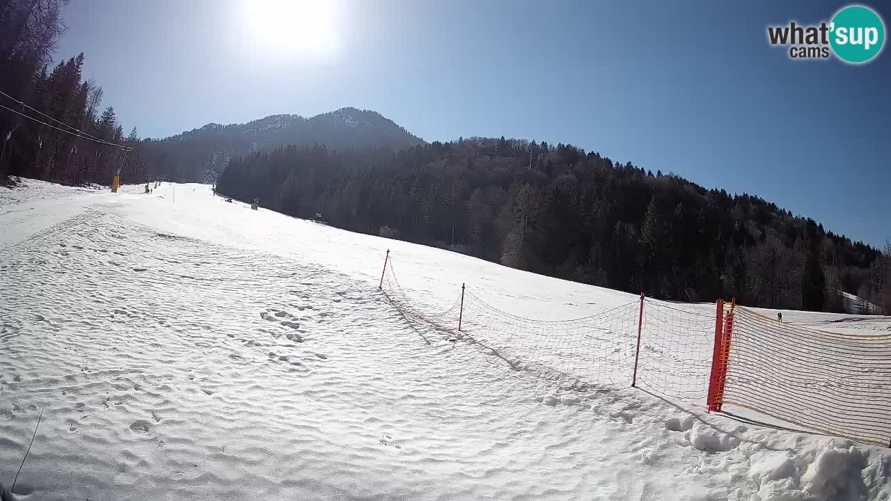Comprensorio sciistico Kranjska Gora | Brsnina