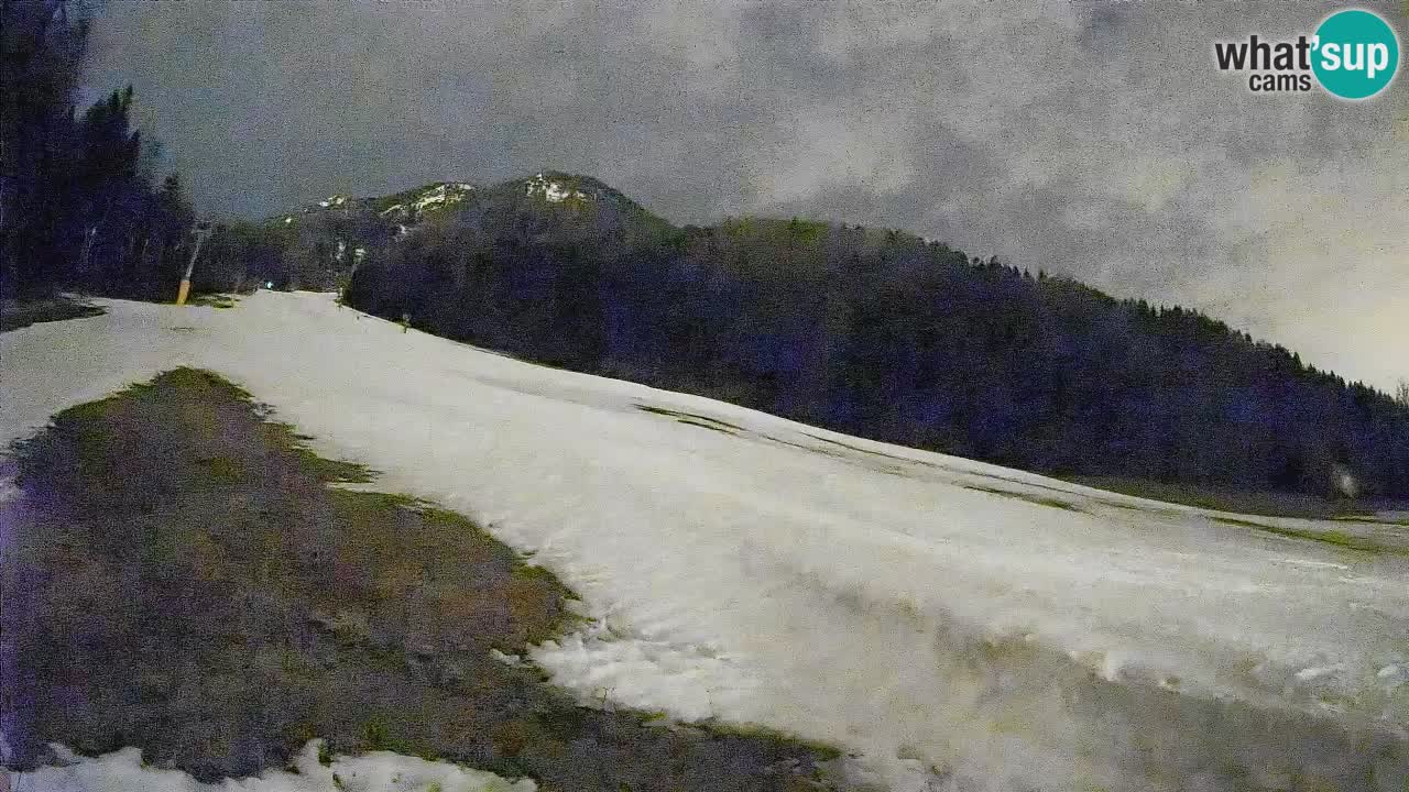 Comprensorio sciistico Kranjska Gora | Brsnina