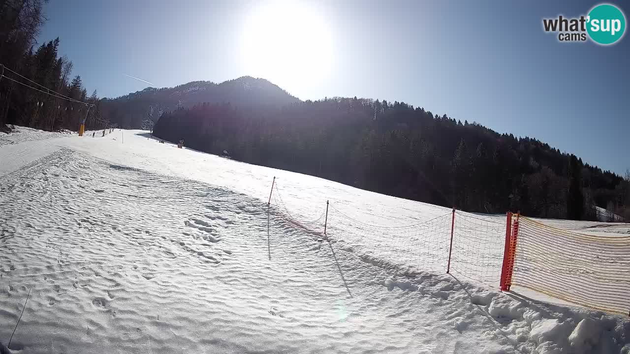 RTC Skigebiet Kranjska Gora | Brsnina