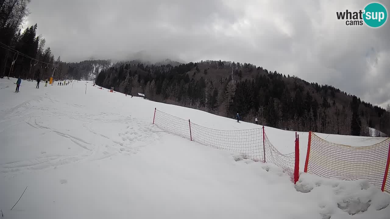 RTC Skigebiet Kranjska Gora | Brsnina