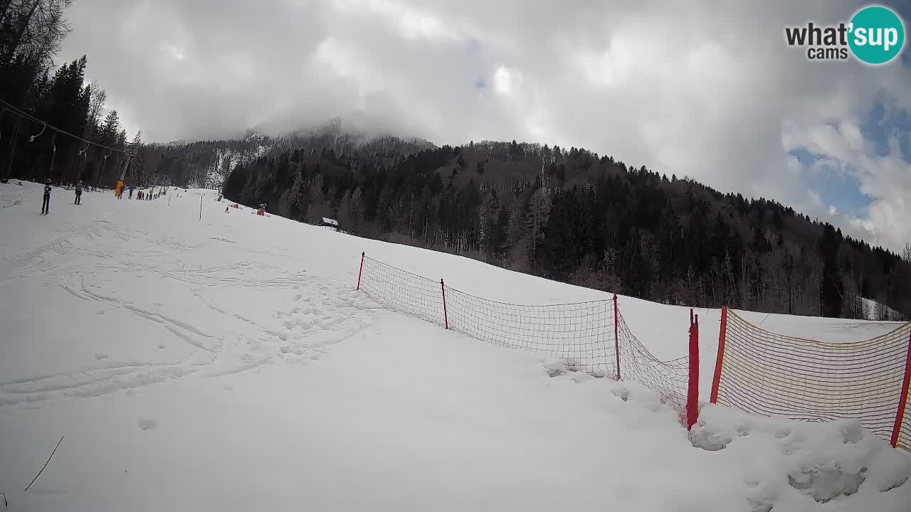 Ski Kranjska Gora | Brsnina