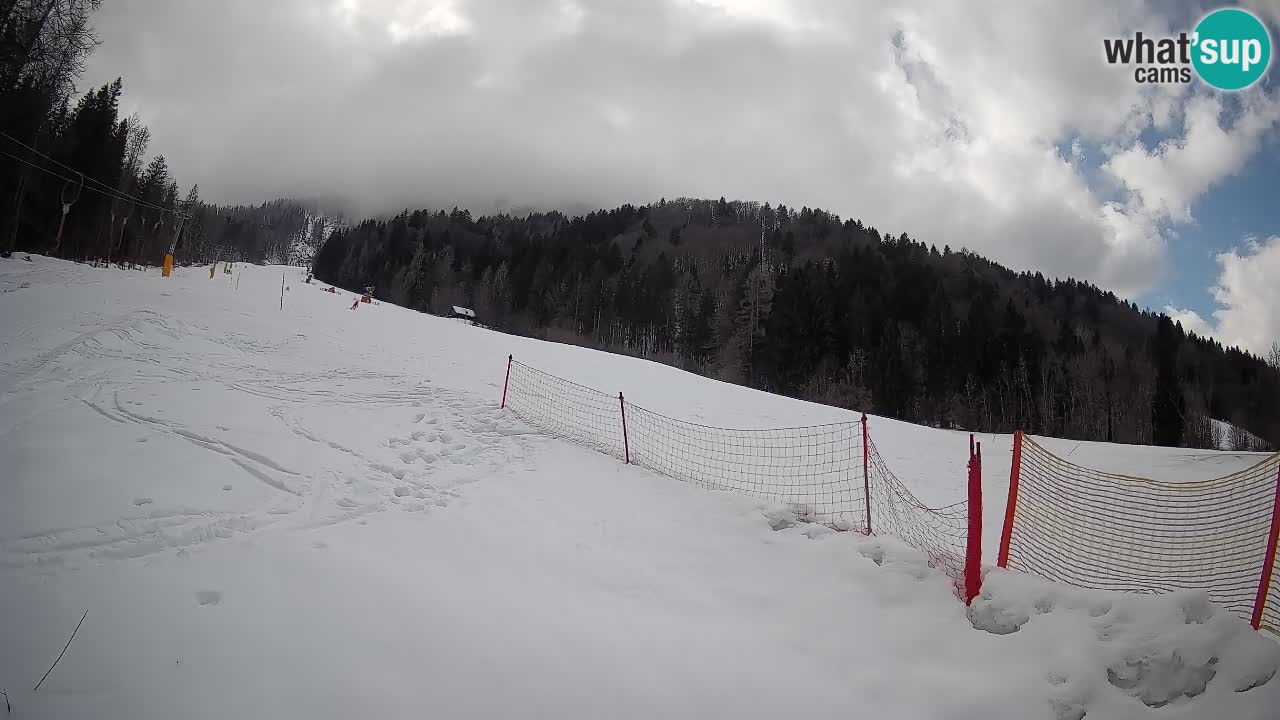 Kranjska Gora Station de ski | Brsnina