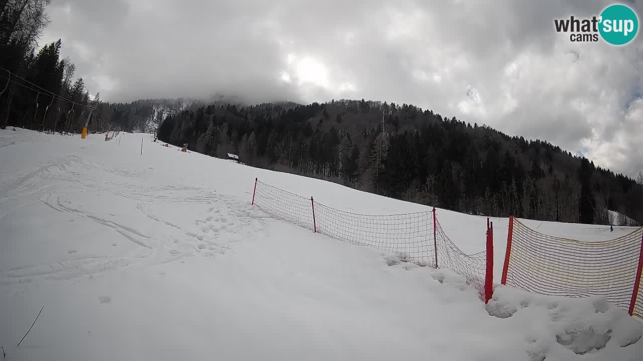 Kranjska Gora SKIJANJE | Brsnina