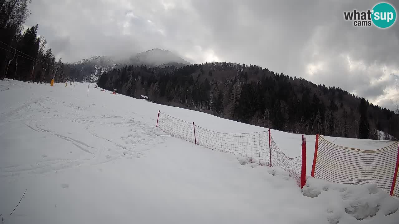 Kranjska Gora Station de ski | Brsnina