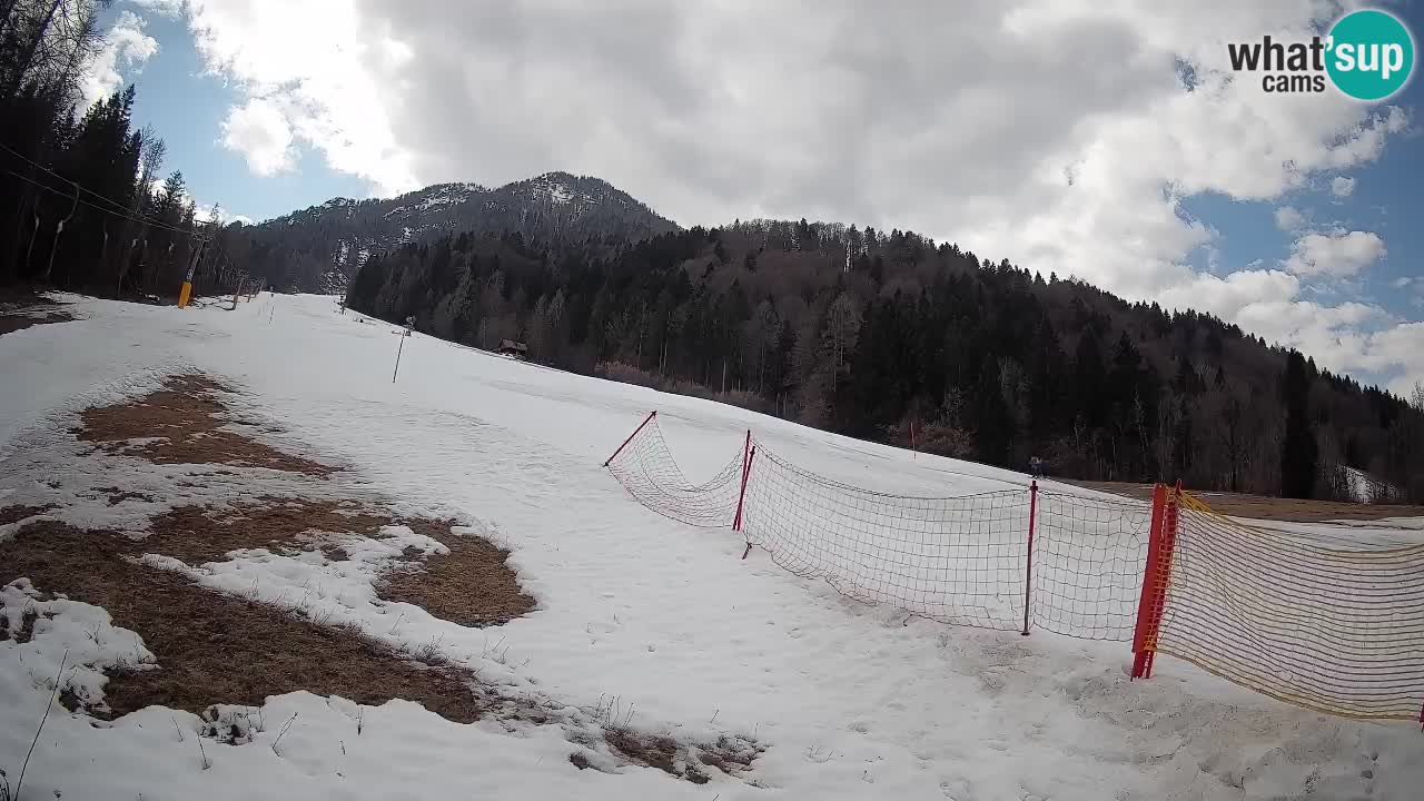 Kranjska Gora Station de ski | Brsnina