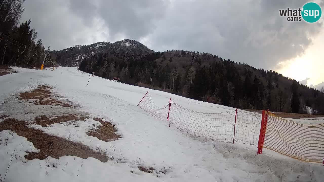 Ski Kranjska Gora | Brsnina