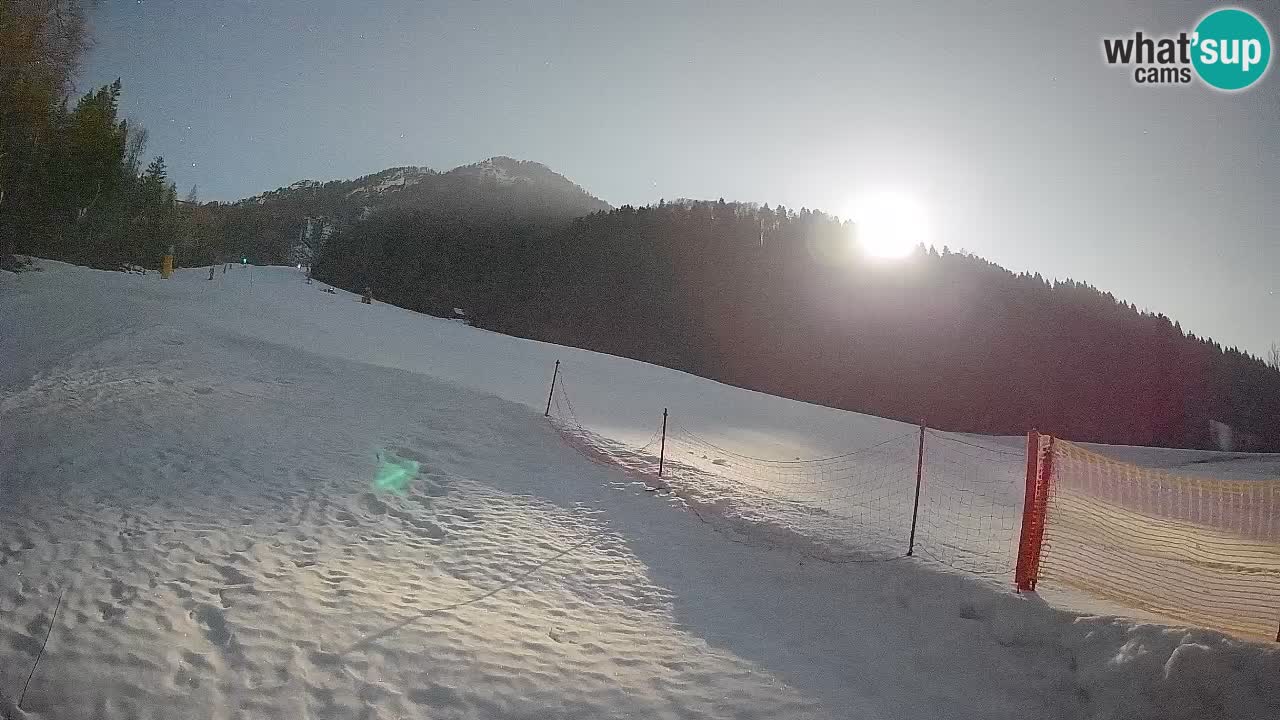 Kranjska Gora Station de ski | Brsnina