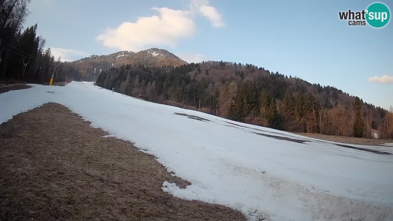 Ski Kranjska Gora | Brsnina